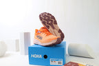 HOKA Challenger ATR 7 All-Terrain Trail Running Shoe